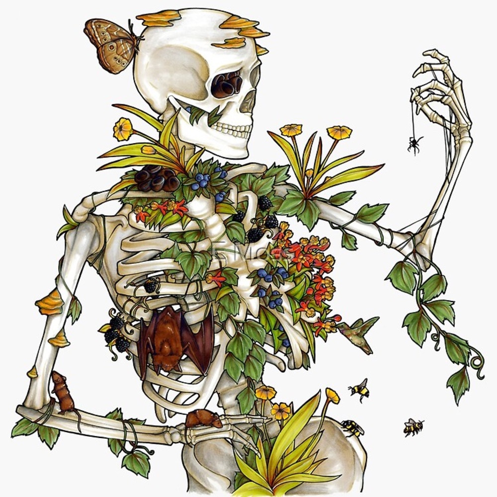 Meet your Posher, Trends